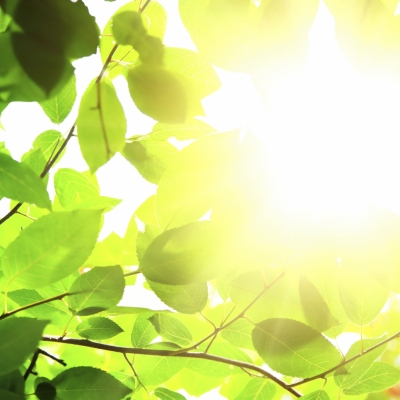 Energija sončne svetlobe se prenaša na našo kožo in nas greje