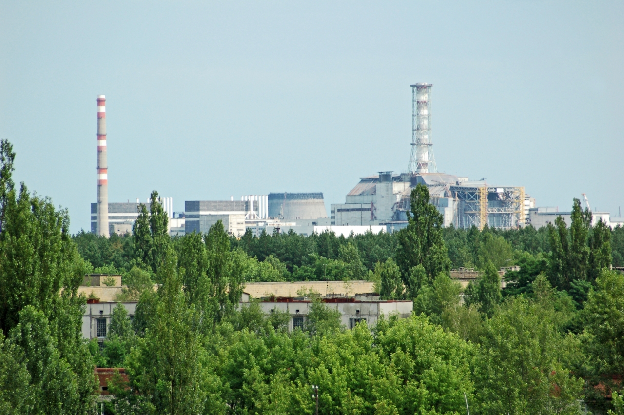 V okolici Černobila vse bogatejši živalski svet